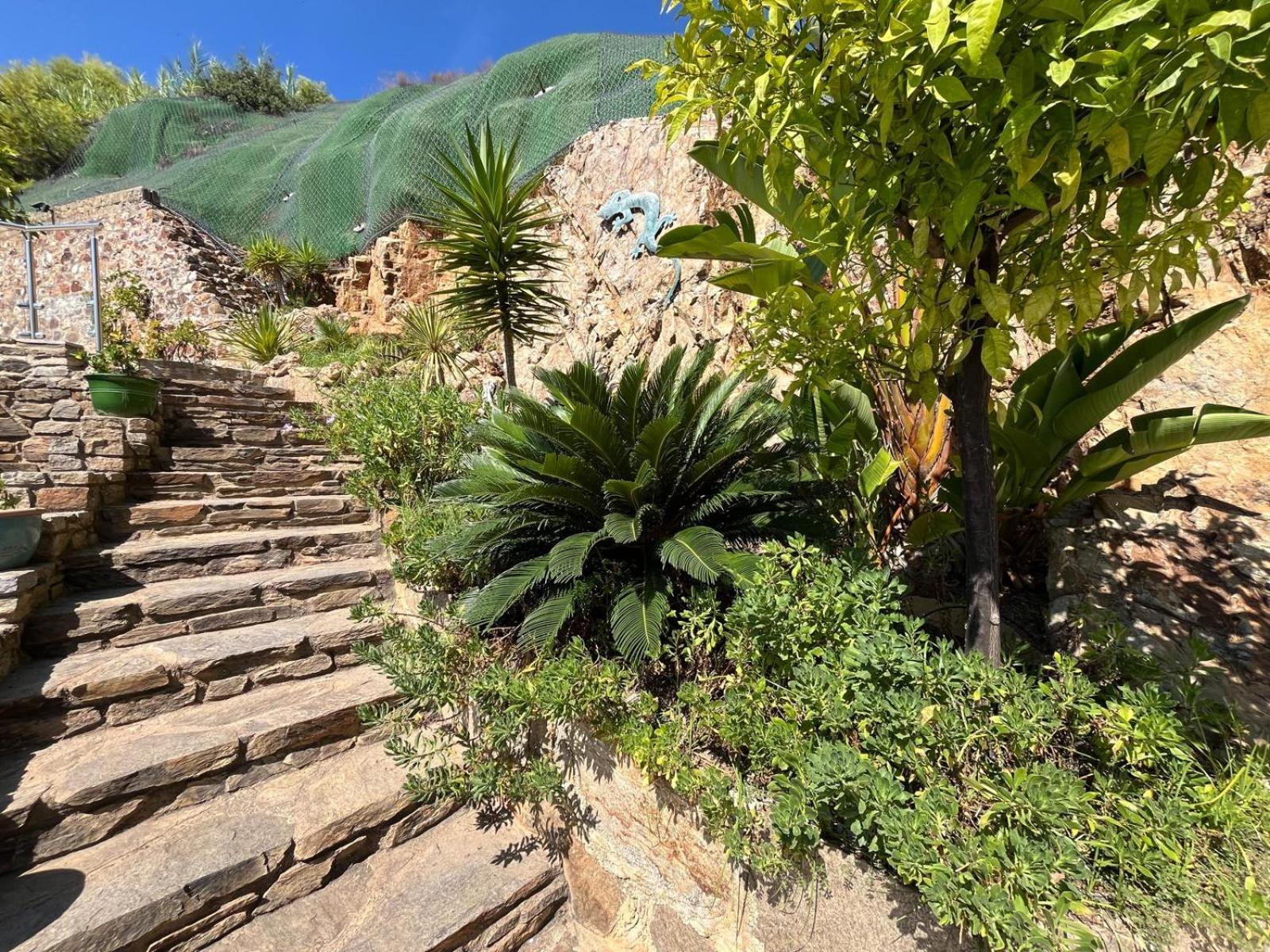 Meublé tourisme 4*, les pieds dans l'eau, Villa LAS PALMERAS La Londe-les-Maures Exterior foto